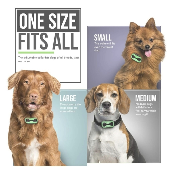 PetLab anti-bark training collar - Picture 4 of 7